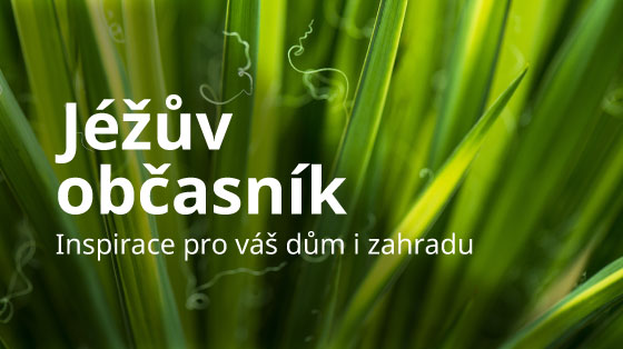 banner-jezuv-obcasnik