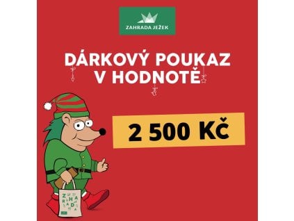 poukaz vanoce 24 2500