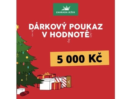 poukaz vanoce 24 5000