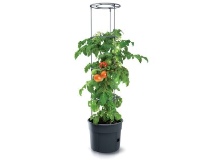 kvetinac na pestovani rajcat tomato grower antracit 29 5cm max vyska 115 2cm