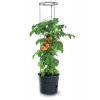 kvetinac na pestovani rajcat tomato grower antracit 29 5cm max vyska 115 2cm